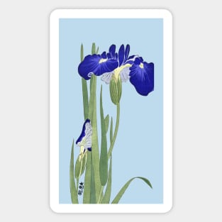 Blue Irises by Ohara Koson Magnet